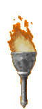 Torch 5